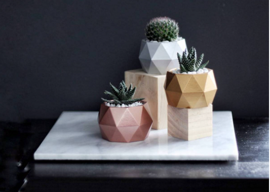 Geometric Plant Pot